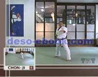 Traditional Taekwondo