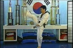 Taekwondo Kincking