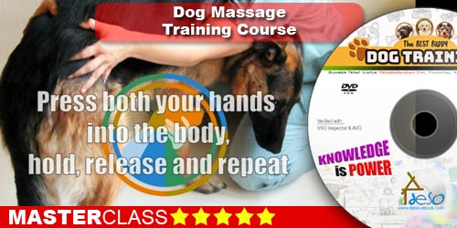 Dog Massage