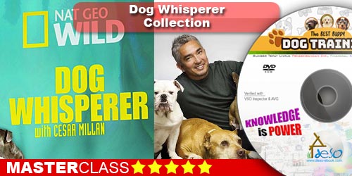 Dog Whisperer