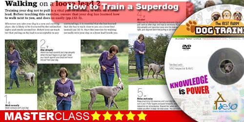 How to train a superdog