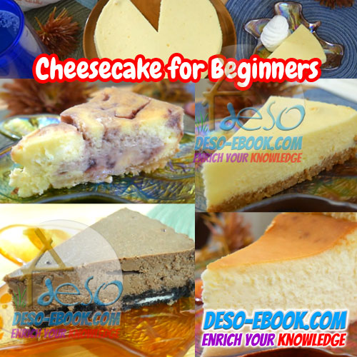 Cheesecake for Beginners
